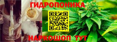 apvp Моздок